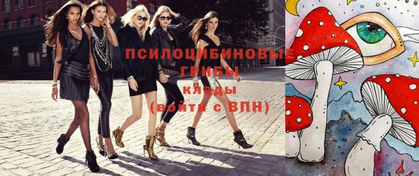 Альфа ПВП Лагань